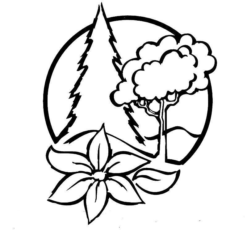 Sheerlund-Logo
